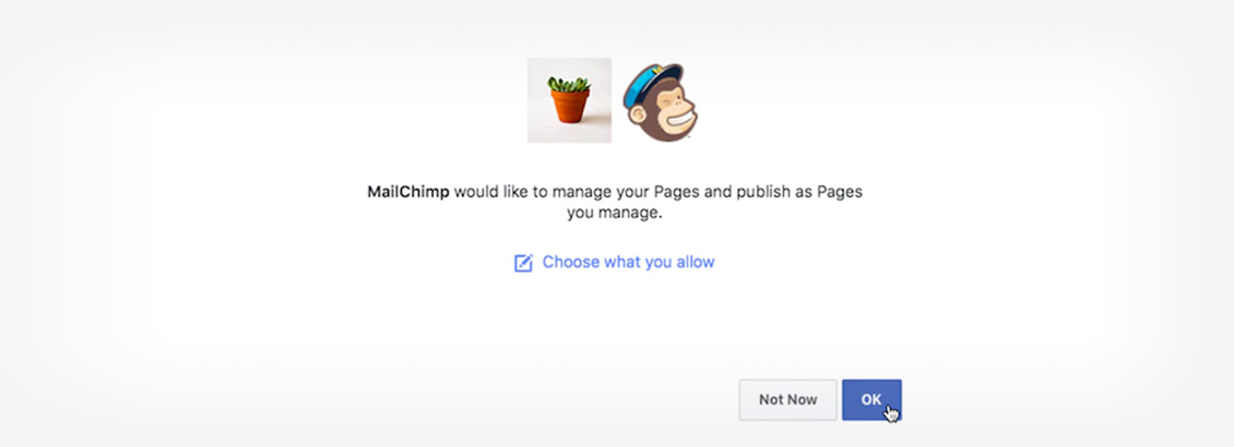 Página del Último Paso Para Crear Email Marketing en Mailchimp