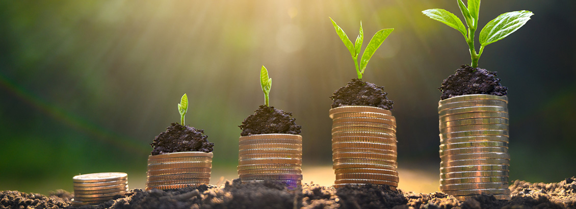 Torres de Monedas con Plantas Floreciendo para Representar el Crecimiento de la Cuenta Instagram para Empresas