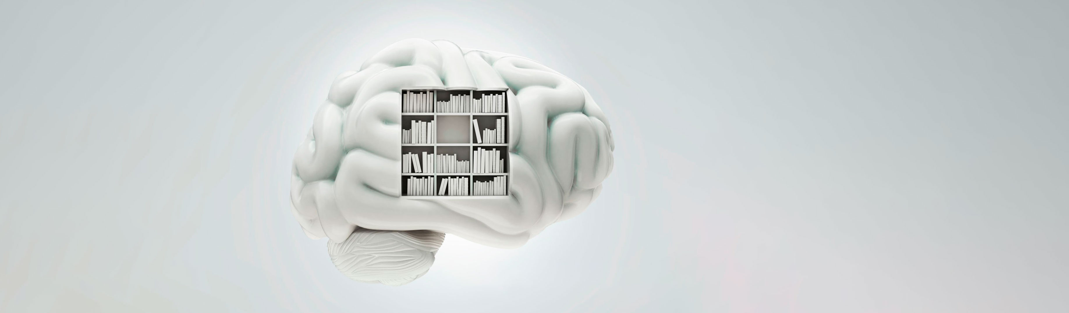 Como generar ideas para un libro