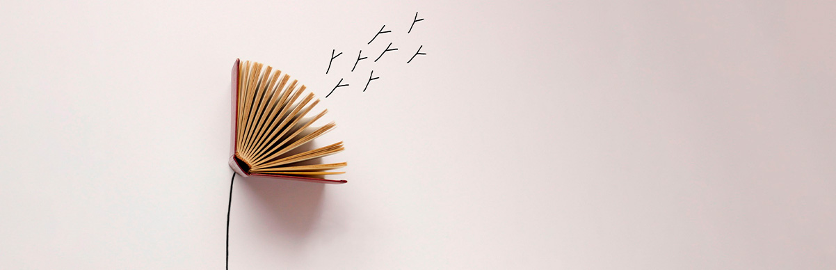 Como generar ideas para un libro